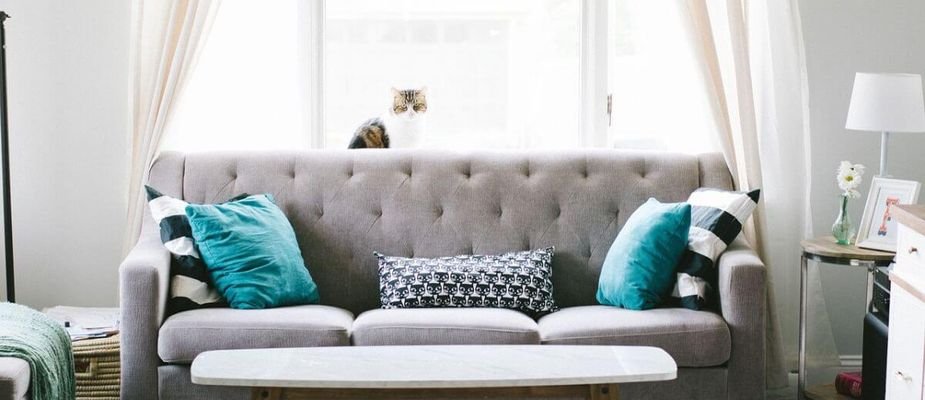 Como decorar sofá com manta e almofadas: conforto, estilo e harmonia no seu lar!